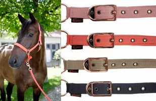 Covalliero Kantar SS21 - Kantary dla koni - miniaturka - grafika 1