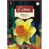 Nasiona i cebule - Narcyz Fortissimo 5 sztuk Eden - miniaturka - grafika 1