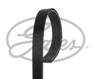Pasek klinowy wielorowkowy Gates 5PK1794 - Paski klinowe i wielorowkowe - miniaturka - grafika 1