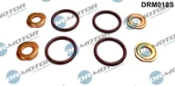 Układ zasilania - akcesoria - Zestaw uszczelek, instalacja wtrysku Dr.motor Automotive DRM018S - miniaturka - grafika 1
