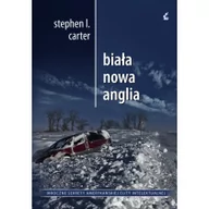 Powieści sensacyjne - Biała Nowa Anglia II - Wysyłka od 3,99 - miniaturka - grafika 1