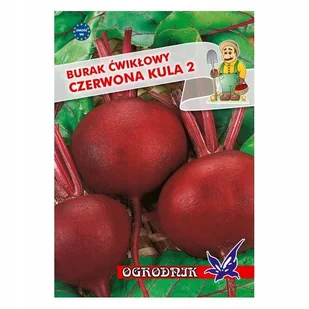 Burak kulisty Czerwona Kula 2 10g / O / - Nasiona i cebule - miniaturka - grafika 1