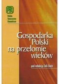 Ekonomia - Gospodarka Polski na przełomie wieków - miniaturka - grafika 1