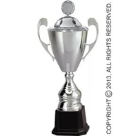 Gadżety dla kibiców - Puchar metalowy srebrny z przykrywką - miniaturka - grafika 1