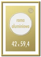 Ramki na zdjęcia - Ramka na zdjęcia 42x59,4 cm A2 Ramki aluminiowe 59,4x42 cm złota - miniaturka - grafika 1