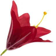 Zabawki kreatywne - [w26522] Główka kwiatowa lilia 11cm czerwona - miniaturka - grafika 1