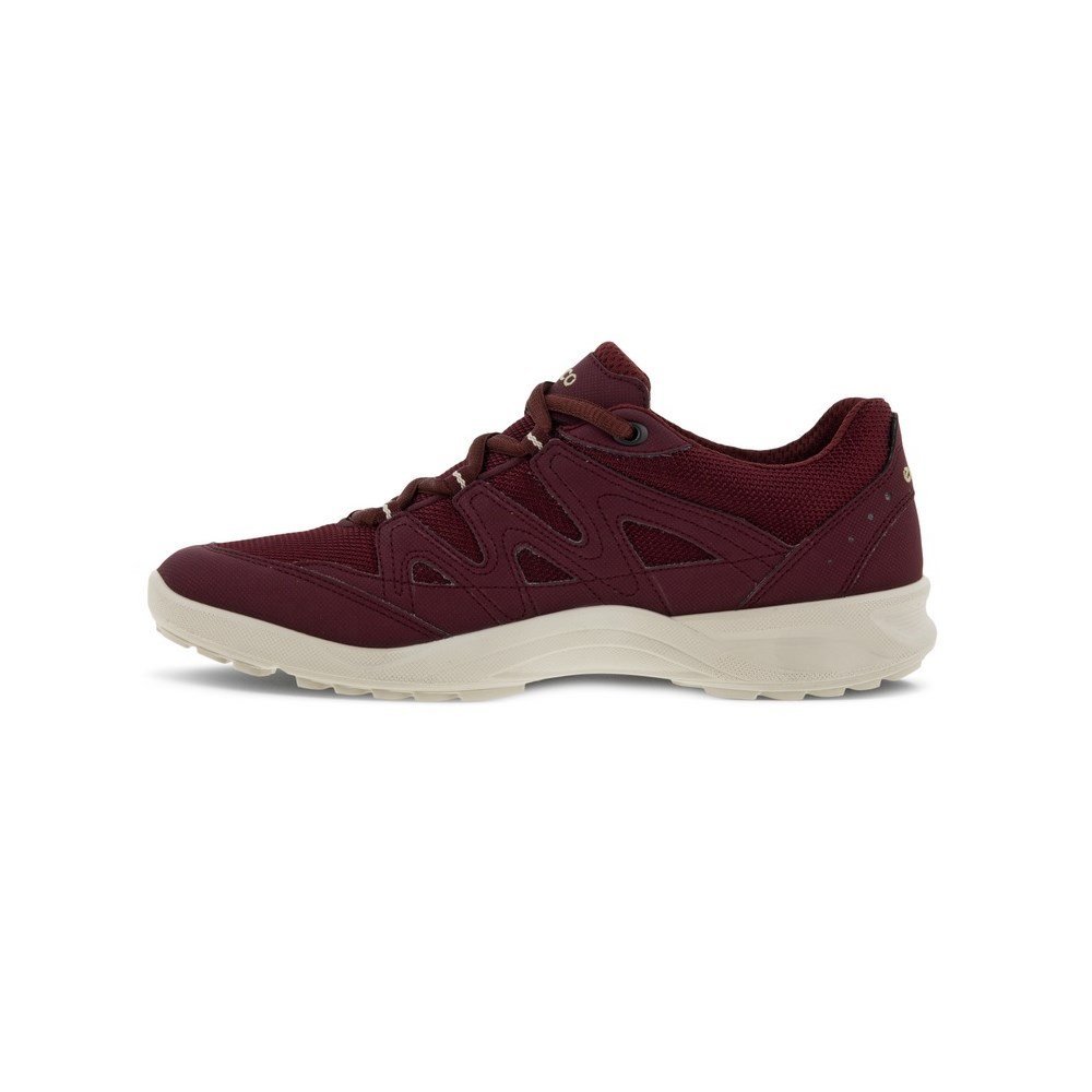 Buty Ecco Terracruise Lt 82578359223