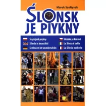 lonsk je piykny - Książki regionalne - miniaturka - grafika 1