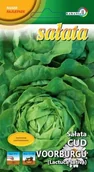 Nasiona i cebule - Sałata masłowa Cud Voorburgu 1g / L / - miniaturka - grafika 1