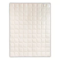 Kołdry - AMZ Szamotuły Kołdra Puchowa 135x200 Silver Zimowa Puch 90% 3282-1096F - miniaturka - grafika 1