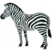 Figurki dla dzieci - COLLECTA Zebra pospolita - miniaturka - grafika 1