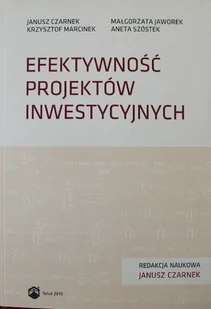 Efektywność projektów inwestycyjnych - Biznes - miniaturka - grafika 1