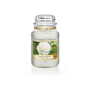 Świece - Yankee Candle Camellia Blossom Słoik Duży 623g 1651381E - miniaturka - grafika 1