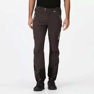 Regatta Męskie Spodnie Trekkingowe Mountain Winter Szaro-czarny, Rozmiar: 30S - Spodnie męskie - miniaturka - grafika 1