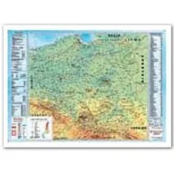 Podkładki na biurko - Ateneum Podkład dwustronny z mapą Polski - miniaturka - grafika 1