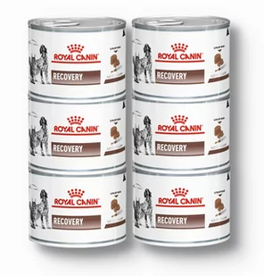 ROYAL CANIN Recovery 195g puszka - Mokra karma dla psów - miniaturka - grafika 1