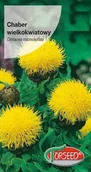 Nasiona i cebule - Nasiona Chaber wielkokwiatowy żółty - Torseed - miniaturka - grafika 1