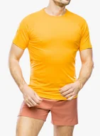 Koszulki sportowe męskie - Koszulka do biegania Salomon Cross Run S/S Tee - zinnia - miniaturka - grafika 1