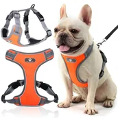 Szelki dla psów - Szelki dla psa ASTRO pomarańczowe rozmiar S - miniaturka - grafika 1