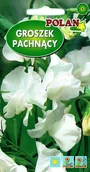 Nasiona i cebule - Groszek pachnący biały 3 g POLAN - miniaturka - grafika 1