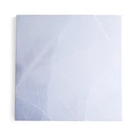 Płyty i maty izolacyjne - Panel akustyczny IMAGE, zimowy liść, 1200x1200 mm, szary - miniaturka - grafika 1