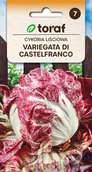 Nasiona i cebule - Cykoria liśc. Variegata di Castelfranco 5g / T / - miniaturka - grafika 1