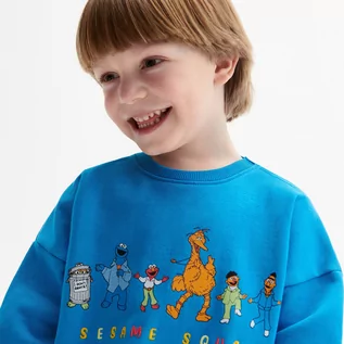 Bluzy dla chłopców - Reserved - Bluza oversize Ulica Sezamkowa - Niebieski - grafika 1