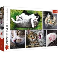 Puzzle - Trefl Puzzle Kocie sprawy kolaż 1500 - miniaturka - grafika 1