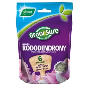 Nawóz do rododendronów 6 miesięcy 300g saszetka Westland - Nawozy ogrodnicze - miniaturka - grafika 1