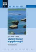 Psychologia - Czynniki leczące w psychoterapii - Jan Czabała - miniaturka - grafika 1