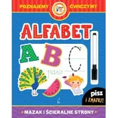 Książki edukacyjne - Wilga GW Foksal Alfabet, Mazak i ścieralne strony - Opracowanie zbiorowe - miniaturka - grafika 1