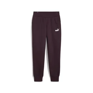 PUMA Damskie spodnie dresowe Ess Fl Cl (S) - Spodnie damskie - miniaturka - grafika 1