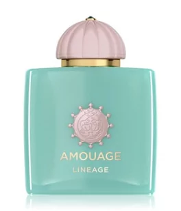 Amouage Odyssey Lineage woda perfumowana 100 ml - Wody i perfumy męskie - miniaturka - grafika 1