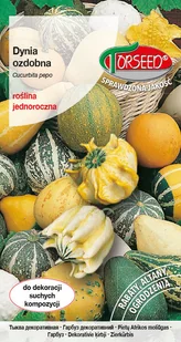 Nasiona Dynia ozdobna mieszanka 5g - Torseed - Nasiona i cebule - miniaturka - grafika 1