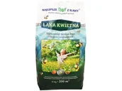 Nasiona i cebule - Łąka kwietna mieszanka nasion polne kwiaty 4kg MTS-20-20-20-01-13-R - miniaturka - grafika 1