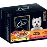 Mokra karma dla psów - Cesar Wielopak w galarecie z kurczakiem marchewką wołowiną i warzywami 4 x 12 x 100 g - miniaturka - grafika 1