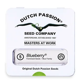 Nasiona konopi Dutch Passion - BlueBerry (fem) 5 szt. - Nasiona i cebule - miniaturka - grafika 1