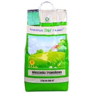 Trawy i trawniki - Rolimpex Trawnikowa+Fructus do kwiatów trawa 5kg + nawóz 250g B587146 - miniaturka - grafika 1