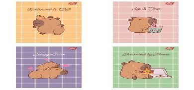 Paczka Zeszyt A4 32K.Krata Okładka Laminowana Capybara Mood Mix 15 Sztuk