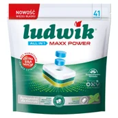 Środki do zmywarek - Ludwik Tabletki do zmywarek All in 1 Maxx Power Mint 41 szt. - miniaturka - grafika 1