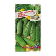 Nasiona i cebule - Ogórek konserwowy Cezar 4g / O / - miniaturka - grafika 1