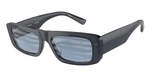 Okulary Przeciwsłoneczne Emporio Armani EA 4229U 6120AM - Okulary przeciwsłoneczne - miniaturka - grafika 1