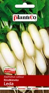 Nasiona i cebule - Plantico Rzodkiewka Leda - miniaturka - grafika 1