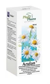 Problemy skórne - PhytoPharm KLEKA S.A Azulan płyn 100 ml - miniaturka - grafika 1