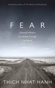 RIDER Thich Nhat Hanh - Fear - Pozostałe książki - miniaturka - grafika 1