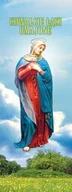 Ikony i obrazy sakralne - Baner religijny Najświętsza Maryja Panna "Chwalcie łąki umajone" - 75x200 cm - miniaturka - grafika 1