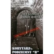 Historia świata - Ciekawe Miejsca Korytarz podziemny B - Aleksander Błażejowski - miniaturka - grafika 1