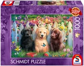 Puzzle - Schmidt, Puzzle PQ Słodkie szczeniaki, 1000 el. - miniaturka - grafika 1