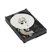 Dyski serwerowe - Dell Dysk twardy 2TB NearLine SAS 7200 RPM 3,5" (400-ALOB) - miniaturka - grafika 1