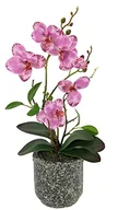 Sztuczne kwiaty - Sztuczny kwiat motyl orchidea z liśćmi i korzeniami powietrza w doniczce z ceramiki sztuczny kwiatek orchidea Phalaenopsis z donicą sztuczną roślina wesele dekoracja jedwabny kwiat prawdziwy touch - miniaturka - grafika 1